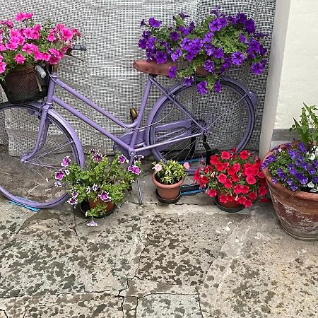 L'Orologio Panoramico Apartman Luserna San Giovanni Kültér fotó